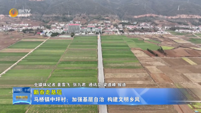 【新春走基层】马桥镇中坪村：加强基层自治 构建文明乡风