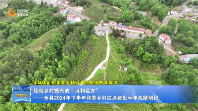 绘就乡村振兴的“诗和远方”  ——全县2024年下半年和美乡村试点建设半年观摩侧记