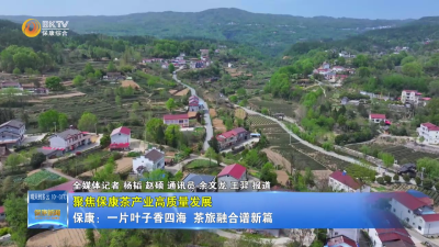 【聚焦保康茶产业高质量发展】保康：一片叶子香四海 茶旅融合谱新篇