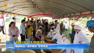新闻特写：锅中翻滚 茶香四溢