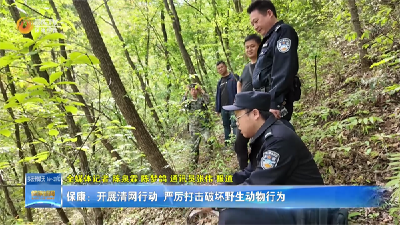 保康：开展清网行动  严厉打击破坏野生动物行为