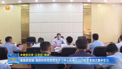 县政府党组、政府机关党组理论学习中心组举行2025年度第四次集中学习