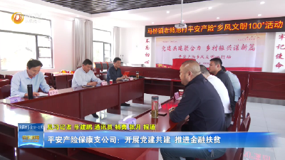 平安产险保康支公司：开展党建共建 推进金融扶贫