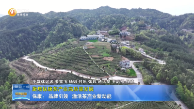 【聚焦保康茶产业高质量发展】保康： 品牌引领 激活茶产业新动能