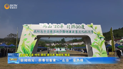 新闻特写：茶香引客来 山货俏销忙