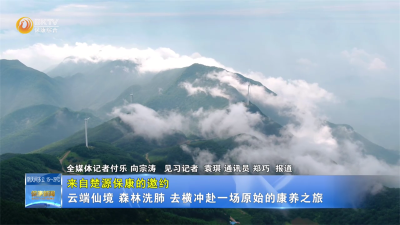 【来自楚源保康的邀约】云端仙境 森林洗肺—去横冲赴一场原始的康养之旅