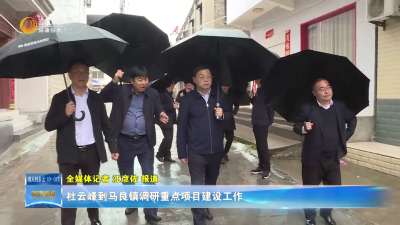 杜云峰到马良镇调研重点项目建设工作