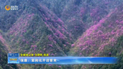 保康：紫荆花开迎客来