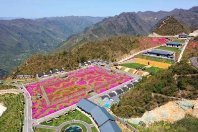 来自楚源保康的邀约丨云端花海+多彩市集+养生美食！“五一”假期来六柱垭，“沉浸式”体验别样浪漫 