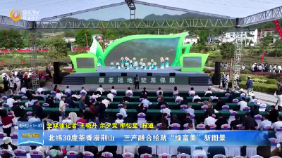北纬30度茶香漫荆山 三产融合绘就“绿富美”新图景