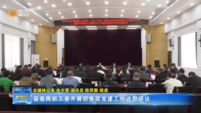 县委两新工委开展抓基层党建工作述职评议