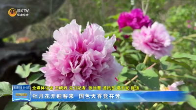 牡丹花开迎客来 国色天香竞芬芳