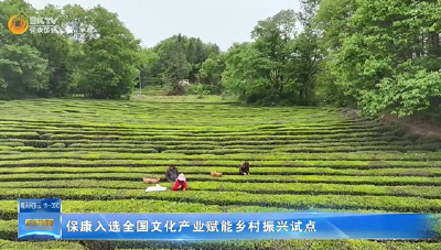 保康入选全国文化产业赋能乡村振兴试点