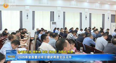 2025年全县重点项目建设调度会议召开