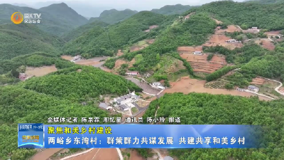 【聚焦和美乡村建设】两峪乡东湾村：群策群力共谋发展  共建共享和美乡村