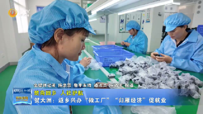 【楚商回乡 人社护航】贺大洲：返乡兴办“微工厂” “归雁经济”促就业