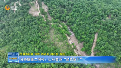 马桥镇唐二河村：山林变身 "绿色银行"