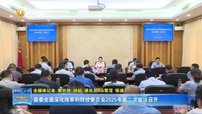 县委全面深化改革和财经委员会2025年第二次会议召开