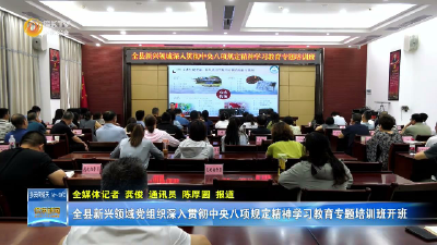 全县新兴领域深入贯彻中央八项规定精神学习教育专题培训班开班