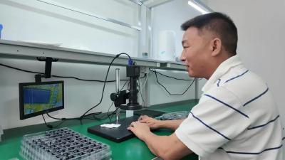 楚商回乡 人社护航丨坚持质量第一！贺大洲将“微工厂”带进国际“大市场”