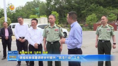 蒋祖权来保康调研乡村振兴“四项行动”工作