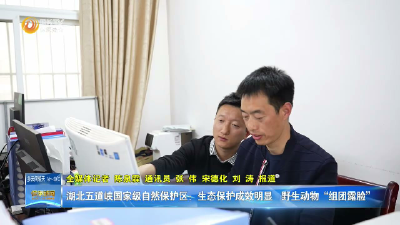 湖北五道峡国家级自然保护区：生态保护成效明显  野生动物“组团露脸”