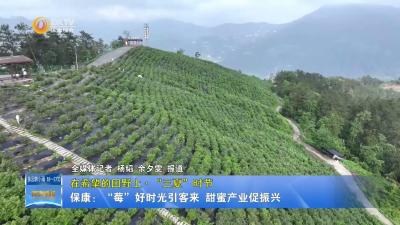 【在希望的田野上·“三夏”时节】保康：“莓”好时光引客来 甜蜜产业促振兴