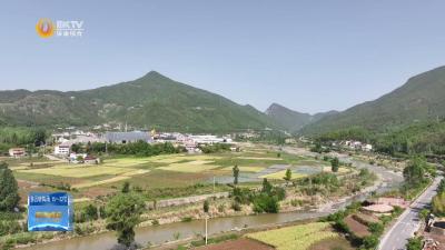 【在希望的田野上·“三夏”时节】保康：水田犁耙响  油菜收割忙