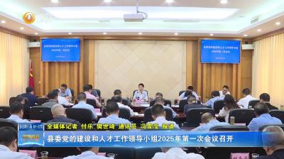 县委党的建设和人才工作领导小组2025年第一次会议召开