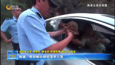 保康：警民暖心救助落单小麂