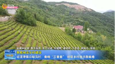 【聚焦和美乡村建设】过渡湾镇白峪沟村：奏响“三重奏” 绘就乡村振兴新画卷