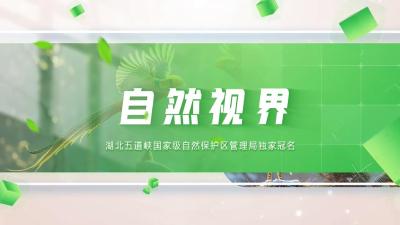 万物共生，各显其美！《自然视界》栏目第六期今晚播出