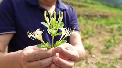 提升“造血”功能，推进“三资”管理！江山重工研究院驻村工作队实干书写村强民富答卷