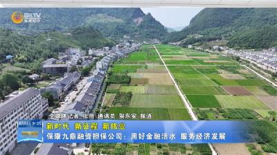 【新时代 新征程 新伟业】保康九鼎融资担保公司：用好金融活水  服务经济发展