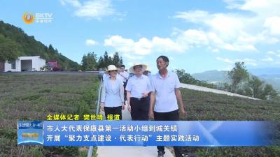 市人大代表保康县第一活动小组到城关镇开展“聚力支点建设·代表行动”主题实践活动