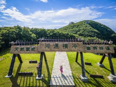 逃离城市大烤箱，冲进高山蓝莓园！夏天游保康，品尝鲜果爆汁，享受自然清凉……