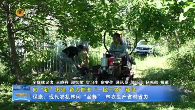 【向“新”图强 奋力推进“一区三地”建设】保康：现代农机林间“起舞” 林农生产省时省力