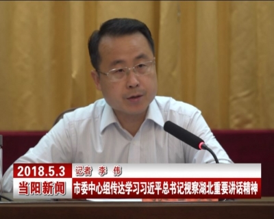 市委中心组传达学习习近平总书记视察湖北重要讲话精神