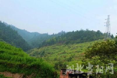 [壮丽70年·奋斗新时代]那些关于手机的记忆