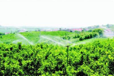 【高质量发展】从“大锅水”到“商品水”——湖北当阳探索农业水价改革