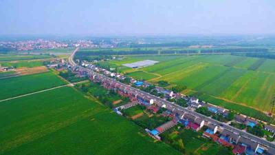 湖北当阳：1123名农村“三员”助力美丽乡村建设