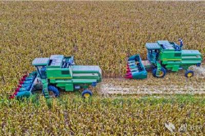 我省秋收开镰忙！