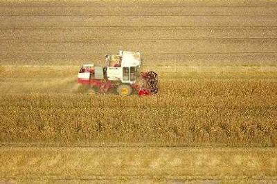 中共中央印发《中国共产党农村工作条例》