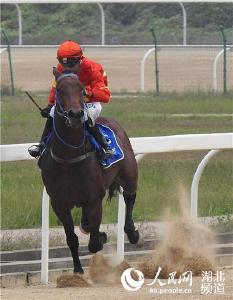 第十七届中国·武汉国际赛马节举行 