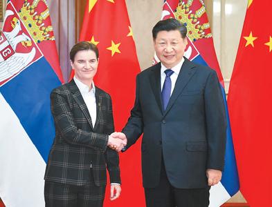 习近平会见塞尔维亚总理布尔纳比奇
