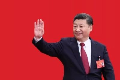 习近平谈全面依法治国