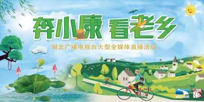 直播  | 《奔小康 看老乡》全媒体直播首站探访湖北淘宝第一村