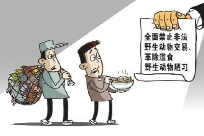 3月3日世界野生动植物日：拒食“野味”、从我做起