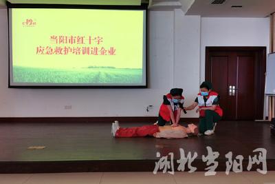 市医院：急救知识进厂区，助力企业复工复产