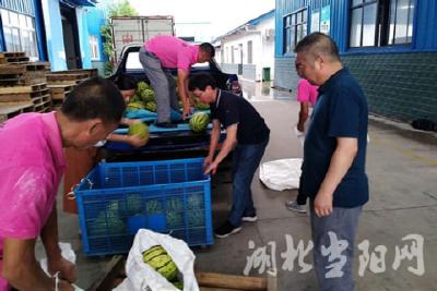 市退役军人事务局开展“送清凉”活动